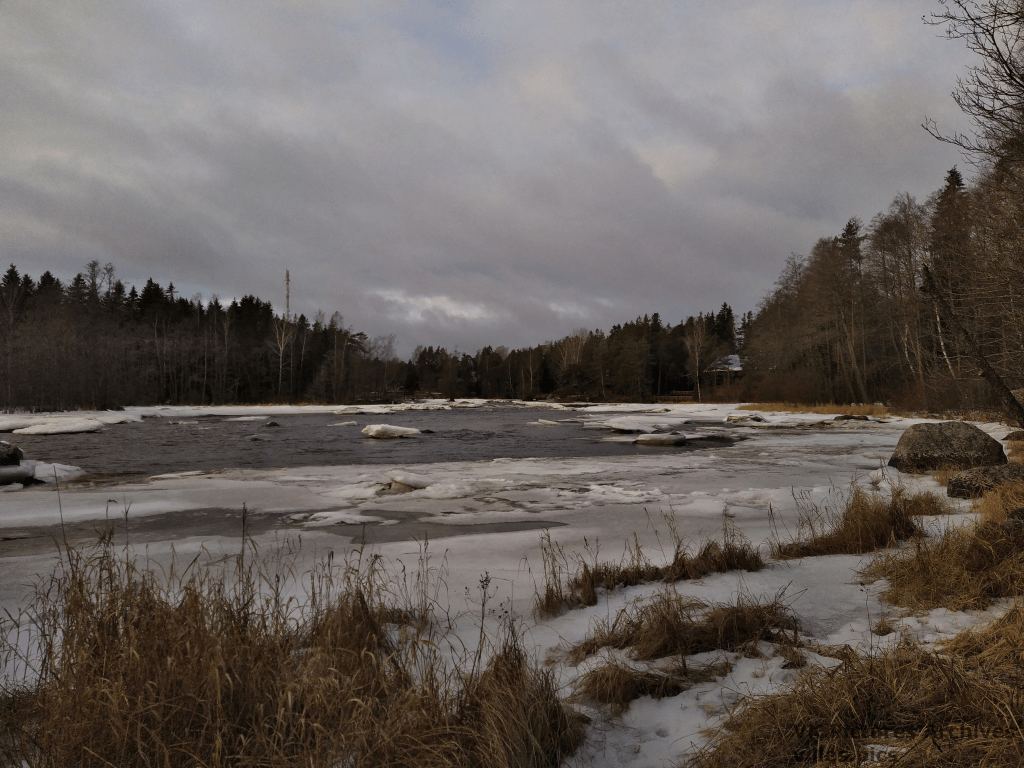 More Phone Camera Testing