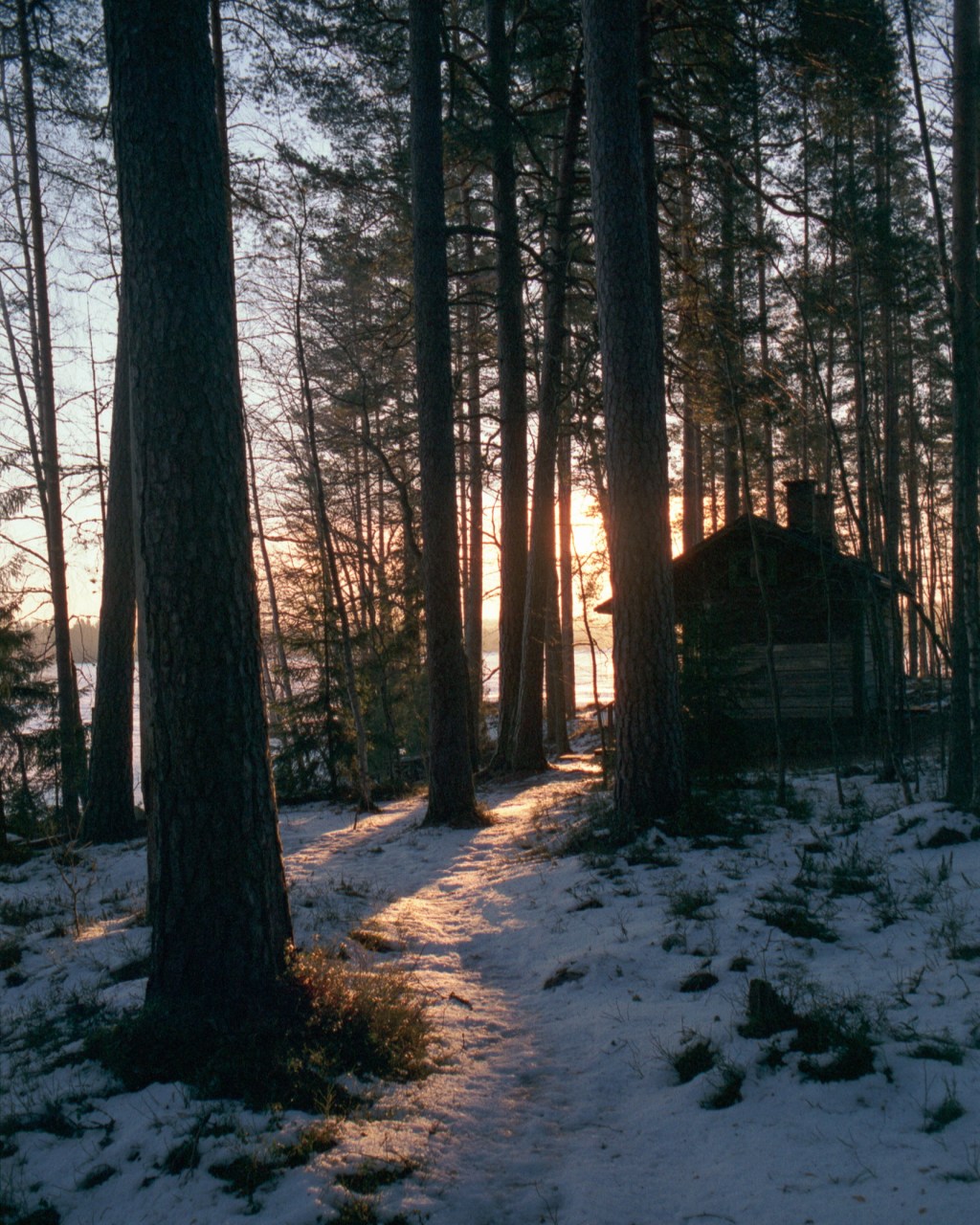 On the Path Along Lake&nbsp;Liesjärvi