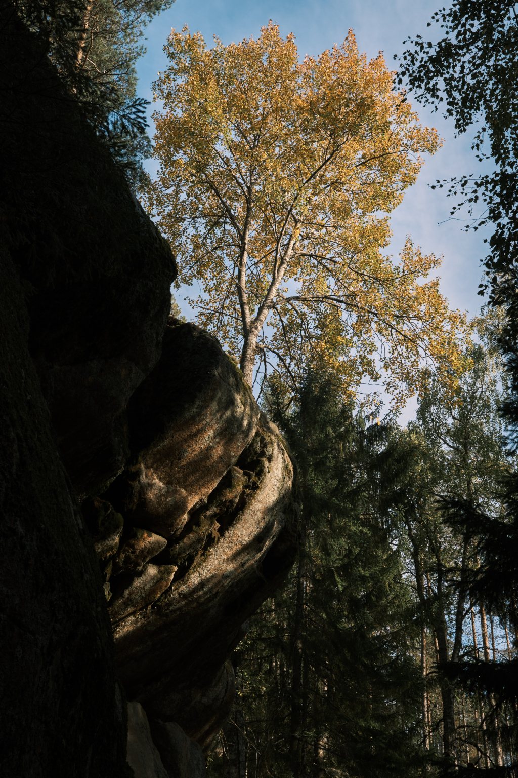 Short Trip to Repovesi National Park in Autumn.