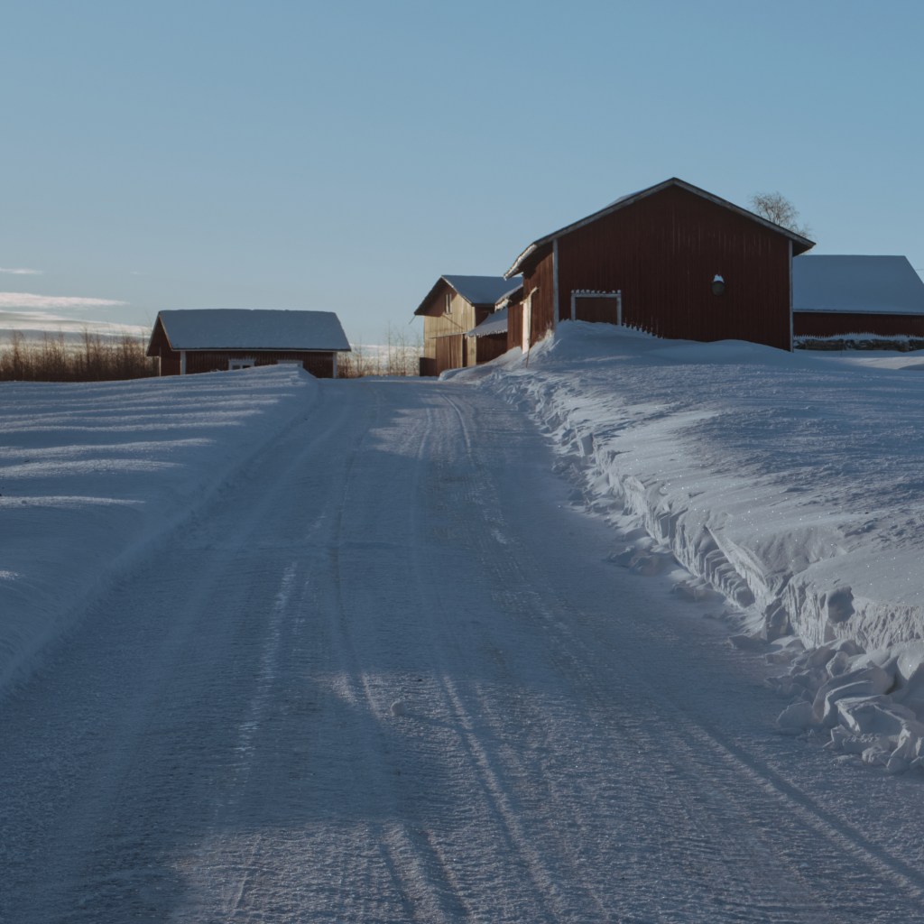 Miscellanious Pictures VII: Winter Morning and&nbsp;Evening