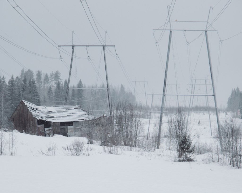 A Morning Winter Walk