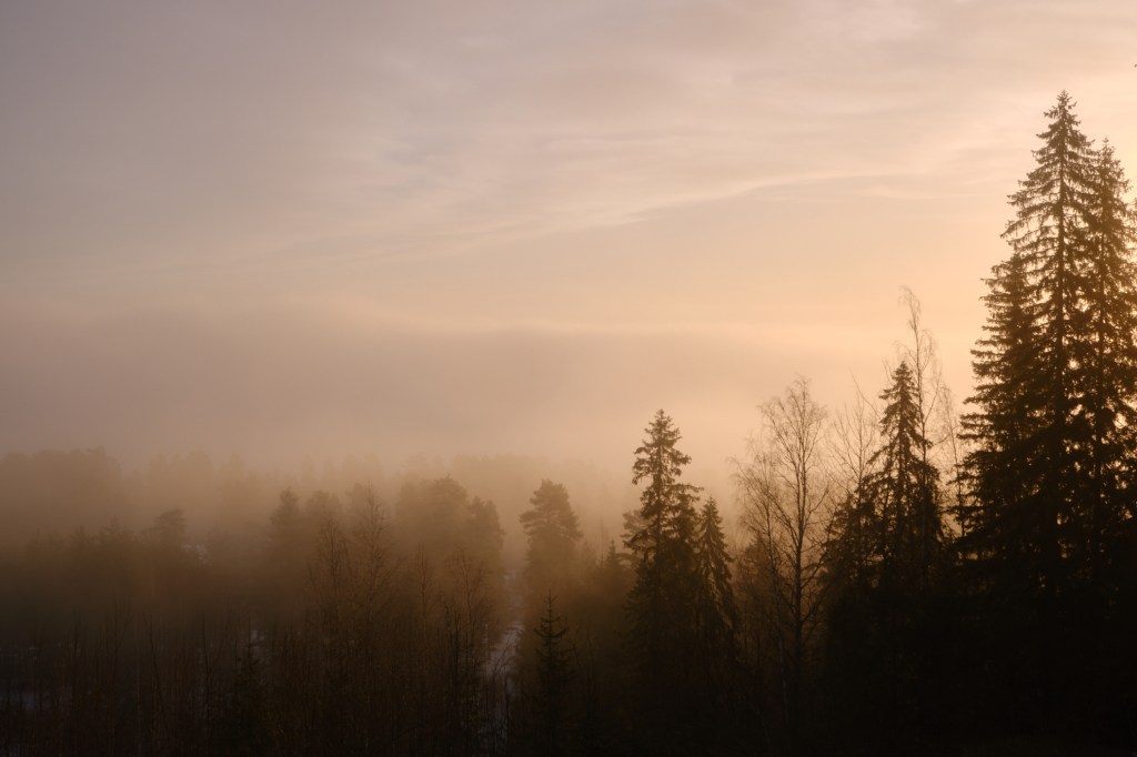 Fog on a Hill, Aurinkovuori