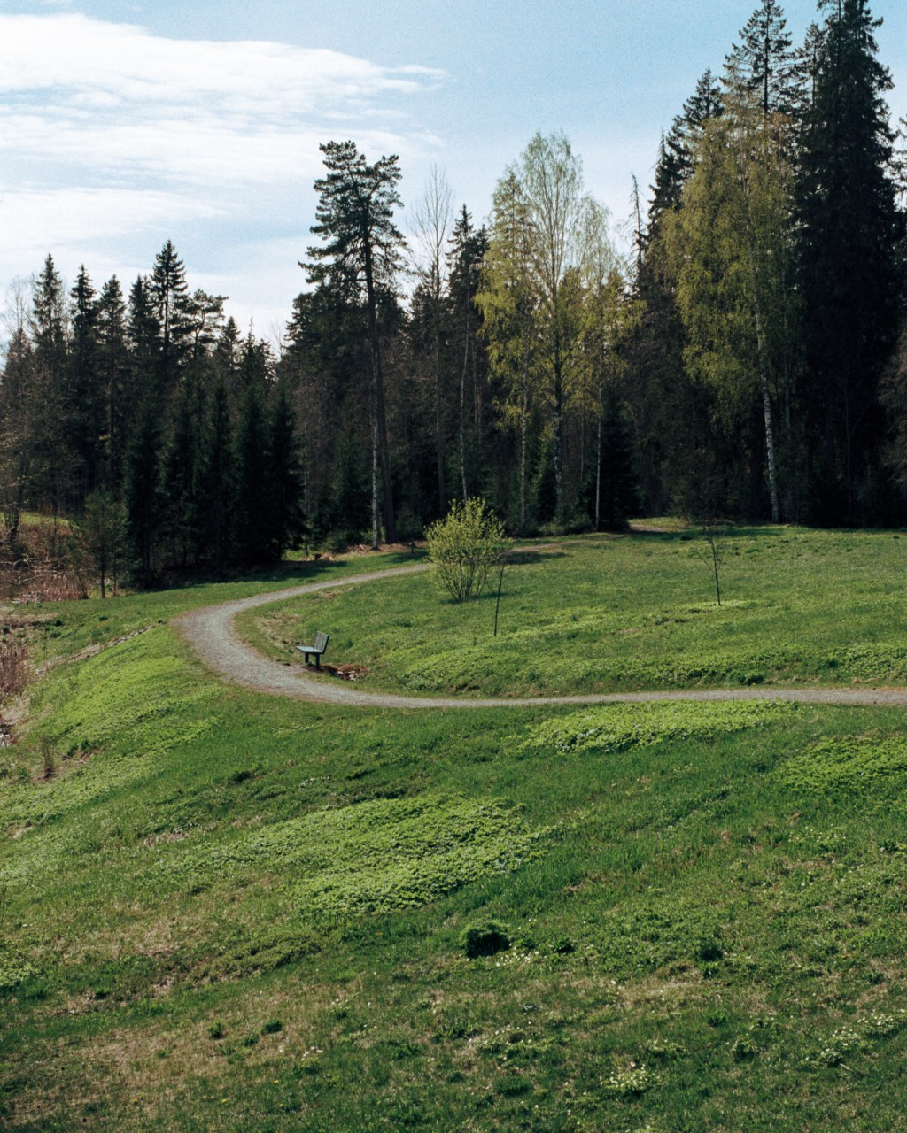 Greens of Spring in the Forest and Countryside, Pictures from&nbsp;Kouvola
