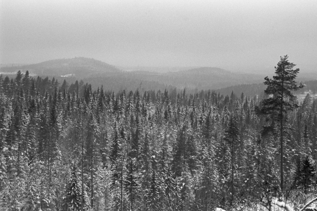Snowfall on the Coast and Hills of&nbsp;Muuratsalo