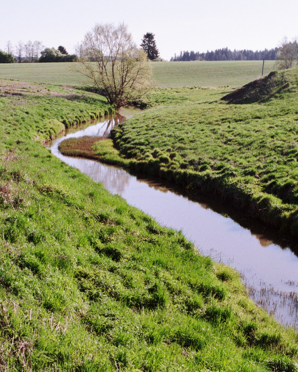 Countryside and Nature in&nbsp;Lieto