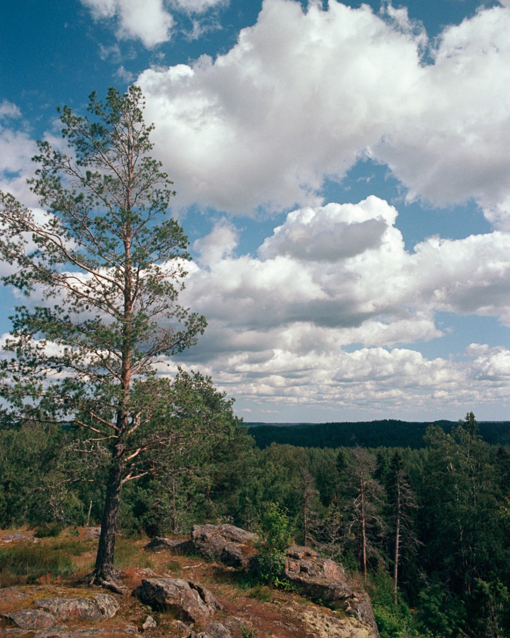 Views from Huttala Hill