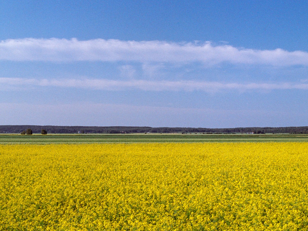 Riding Through the Söderfjärden&nbsp;Crater