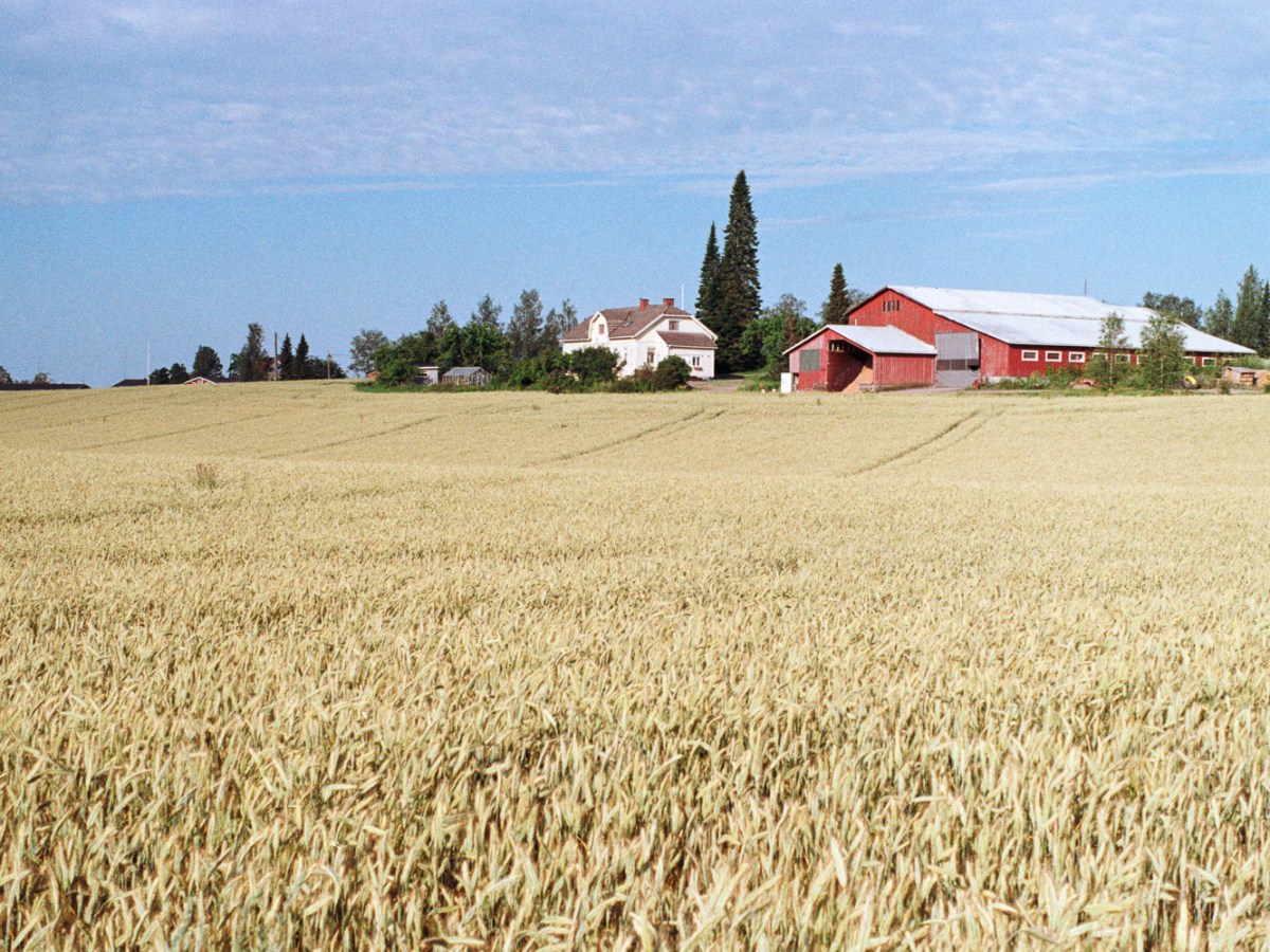 Riding Through the Fields in the Countryside of&nbsp;Asikkala