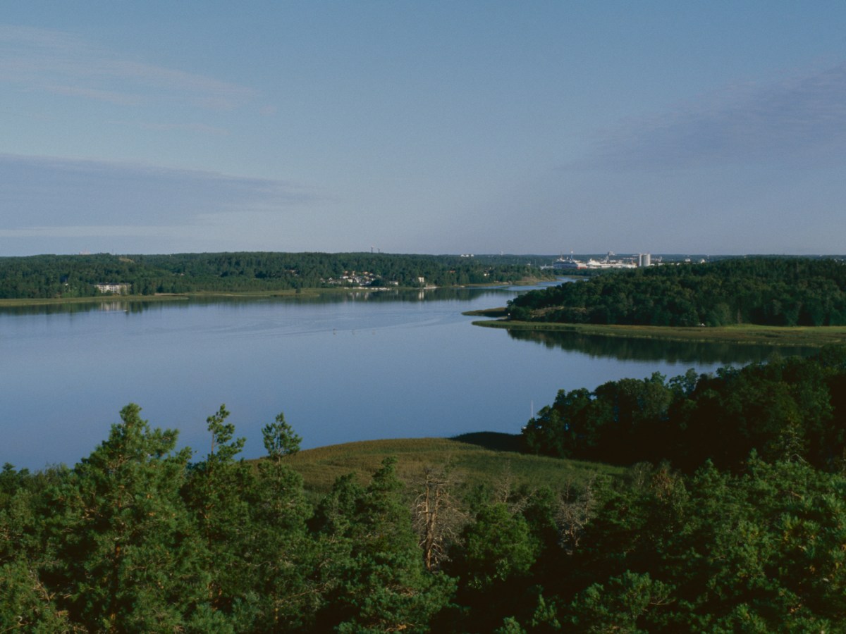 The Forest on the Hill at Vaarniemi Nature&nbsp;Reserve