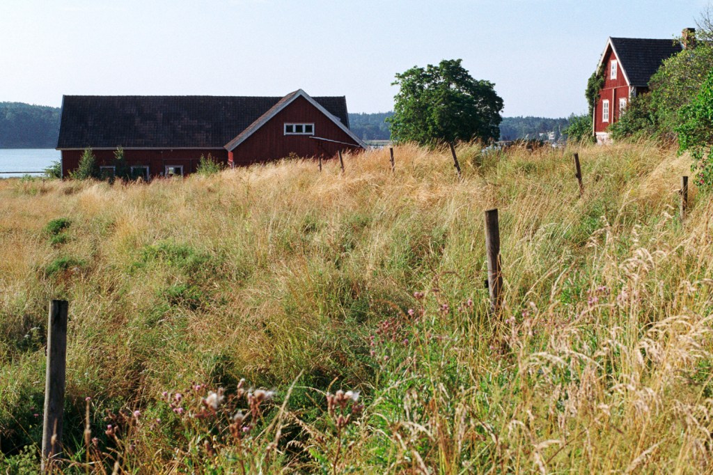 Some Pictures from the Island of&nbsp;Ruissalo